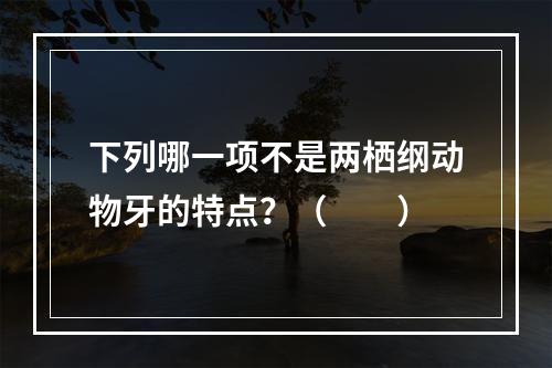 下列哪一项不是两栖纲动物牙的特点？（　　）