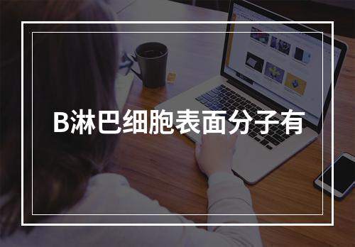 B淋巴细胞表面分子有