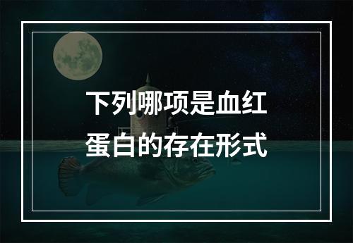 下列哪项是血红蛋白的存在形式