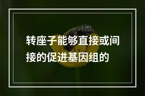 转座子能够直接或间接的促进基因组的