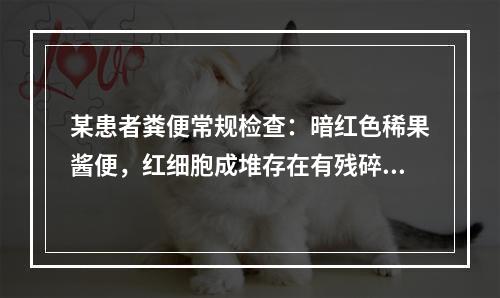 某患者粪便常规检查：暗红色稀果酱便，红细胞成堆存在有残碎现象