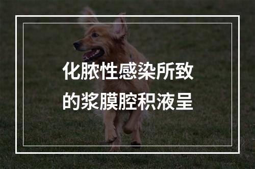 化脓性感染所致的浆膜腔积液呈