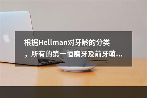 根据Hellman对牙龄的分类，所有的第一恒磨牙及前牙萌出