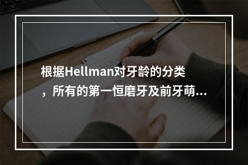 根据Hellman对牙龄的分类，所有的第一恒磨牙及前牙萌出