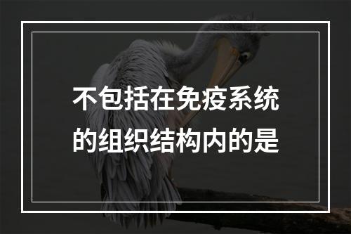 不包括在免疫系统的组织结构内的是