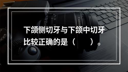 下颌侧切牙与下颌中切牙比较正确的是（　　）。