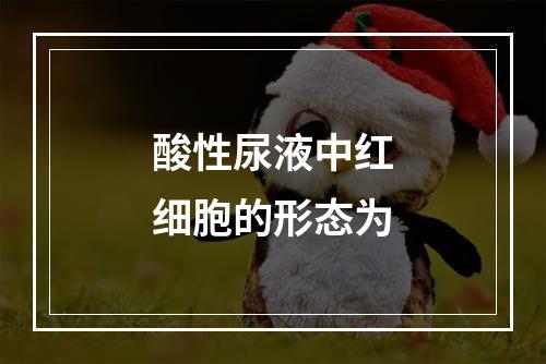 酸性尿液中红细胞的形态为