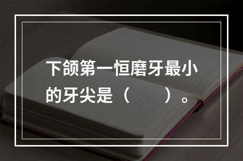 下颌第一恒磨牙最小的牙尖是（　　）。