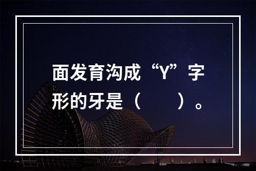 面发育沟成“Y”字形的牙是（　　）。