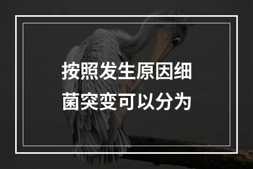 按照发生原因细菌突变可以分为