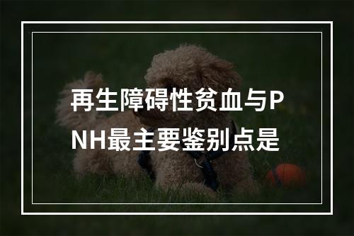 再生障碍性贫血与PNH最主要鉴别点是