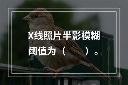 X线照片半影模糊阈值为（　　）。