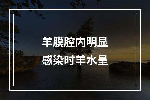 羊膜腔内明显感染时羊水呈