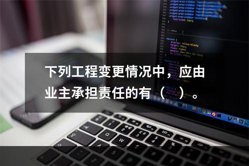 下列工程变更情况中，应由业主承担责任的有（　）。