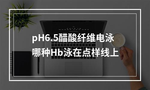 pH6.5醋酸纤维电泳哪种Hb泳在点样线上