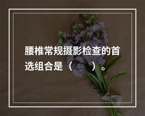 腰椎常规摄影检查的首选组合是（　　）。