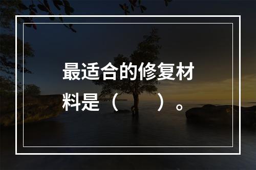 最适合的修复材料是（　　）。