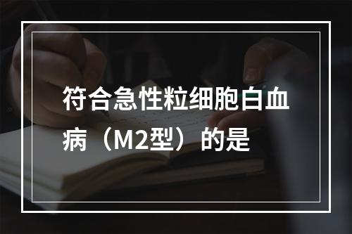 符合急性粒细胞白血病（M2型）的是