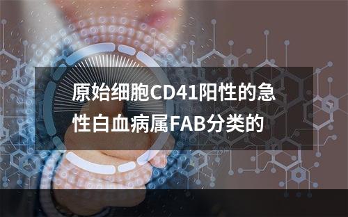 原始细胞CD41阳性的急性白血病属FAB分类的