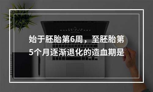 始于胚胎第6周，至胚胎第5个月逐渐退化的造血期是