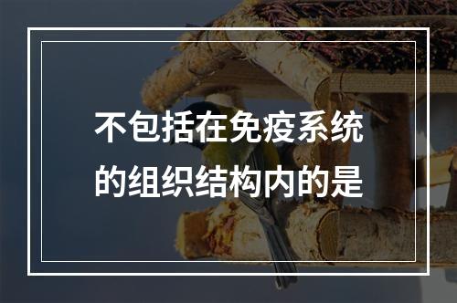 不包括在免疫系统的组织结构内的是