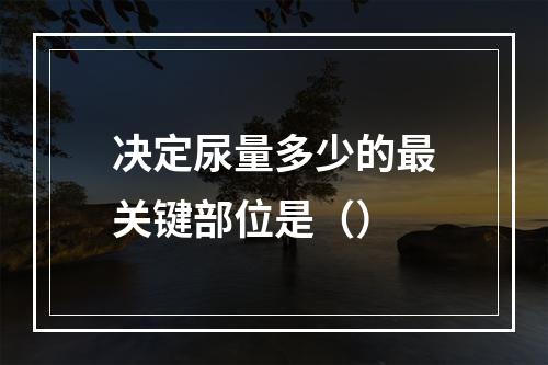 决定尿量多少的最关键部位是（）