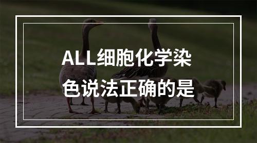 ALL细胞化学染色说法正确的是