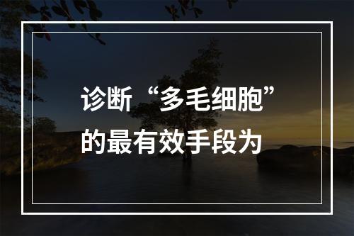 诊断“多毛细胞”的最有效手段为