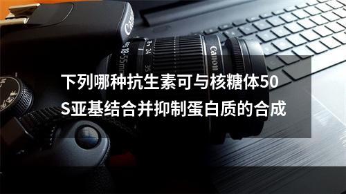 下列哪种抗生素可与核糖体50S亚基结合并抑制蛋白质的合成