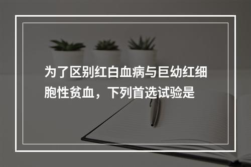 为了区别红白血病与巨幼红细胞性贫血，下列首选试验是