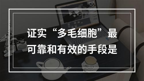 证实“多毛细胞”最可靠和有效的手段是