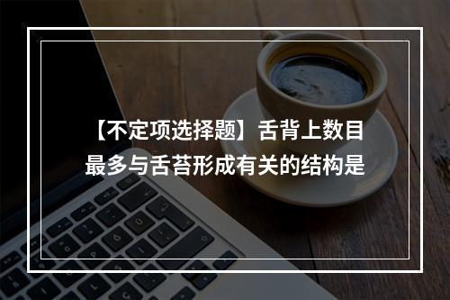 【不定项选择题】舌背上数目最多与舌苔形成有关的结构是