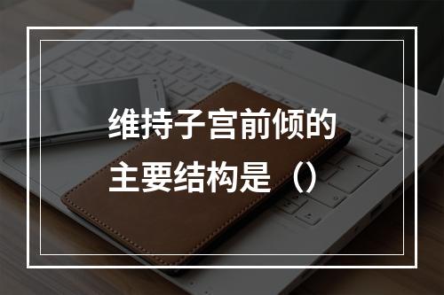 维持子宫前倾的主要结构是（）