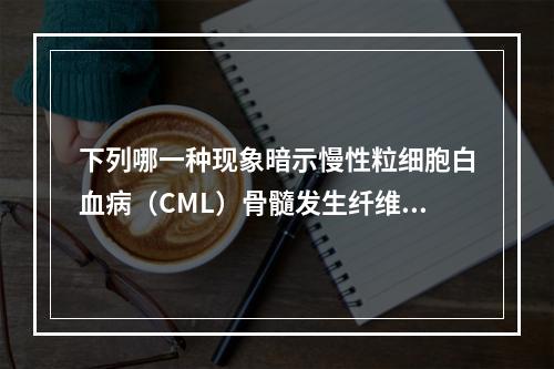 下列哪一种现象暗示慢性粒细胞白血病（CML）骨髓发生纤维化