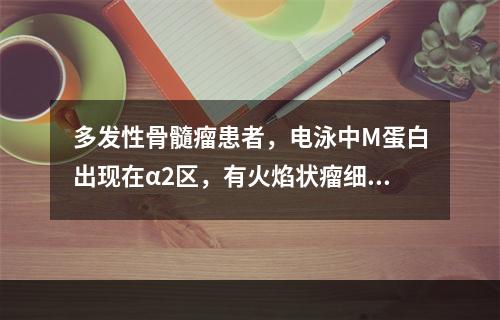 多发性骨髓瘤患者，电泳中M蛋白出现在α2区，有火焰状瘤细胞，