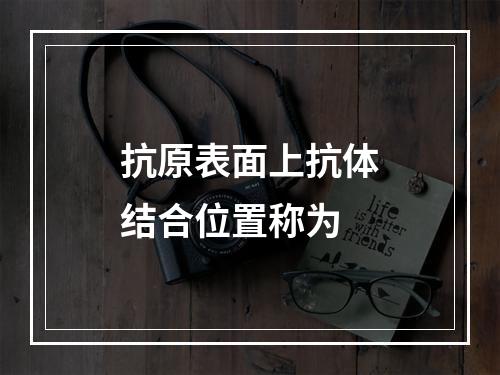 抗原表面上抗体结合位置称为