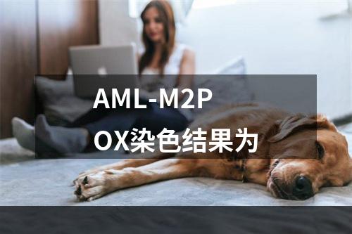 AML-M2POX染色结果为