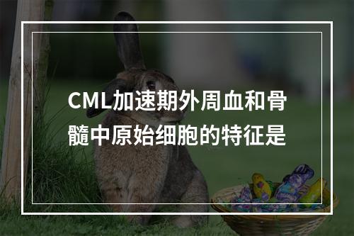 CML加速期外周血和骨髓中原始细胞的特征是