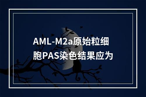 AML-M2a原始粒细胞PAS染色结果应为