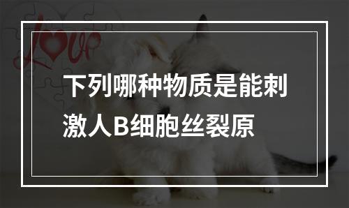 下列哪种物质是能刺激人B细胞丝裂原