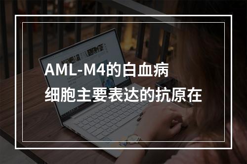 AML-M4的白血病细胞主要表达的抗原在