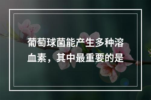 葡萄球菌能产生多种溶血素，其中最重要的是