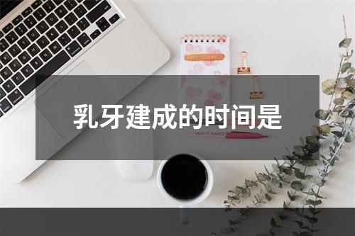 乳牙建成的时间是