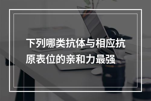 下列哪类抗体与相应抗原表位的亲和力最强