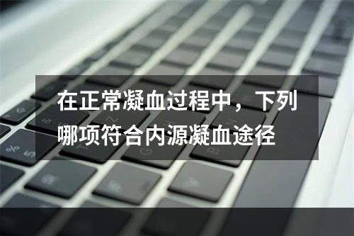 在正常凝血过程中，下列哪项符合内源凝血途径