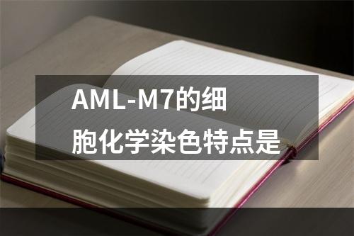 AML-M7的细胞化学染色特点是