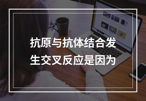 抗原与抗体结合发生交叉反应是因为