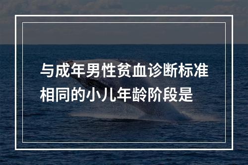 与成年男性贫血诊断标准相同的小儿年龄阶段是