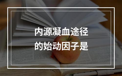 内源凝血途径的始动因子是