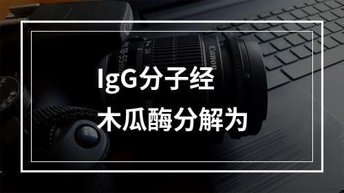 IgG分子经木瓜酶分解为